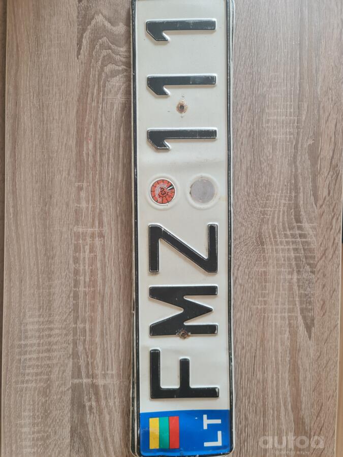 FMZ 111