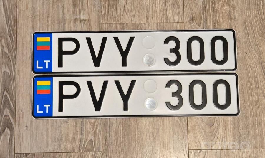 PVY300