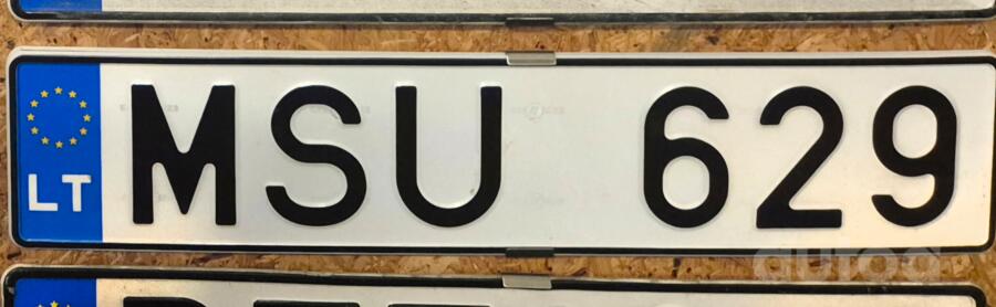 MSU 629