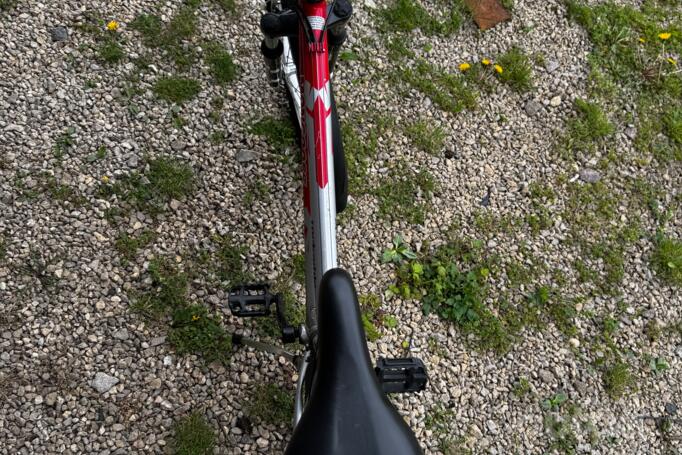 Mongoose Rockadile
