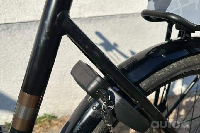 Trek Verve+