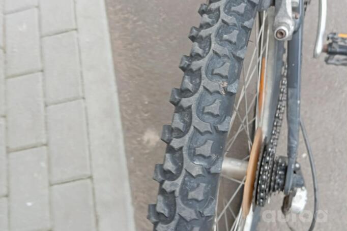 Dynamit Extreme