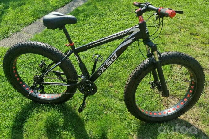Shenzhen Xidesheng Bicycles „Ftx