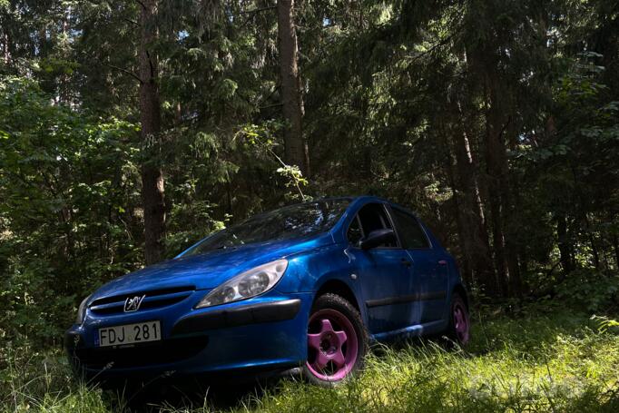 Peugeot 307 1 generation Hatchback 5-doors