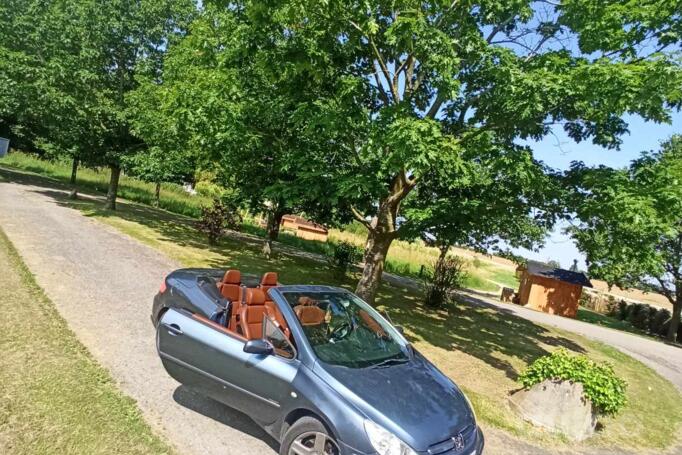 Peugeot 307 1 generation SS cabriolet