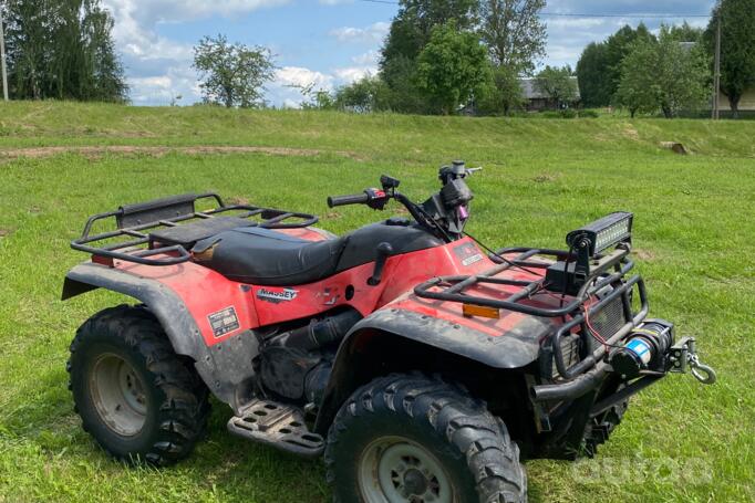 Arctic Cat 500