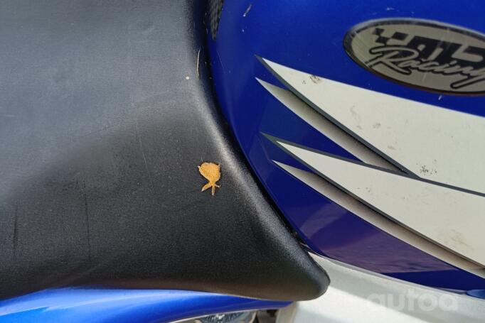 Yamaha YZF