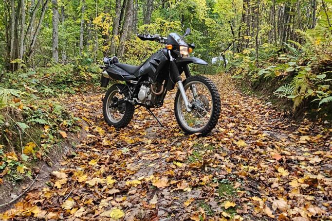MZ SX