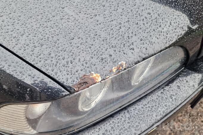 BMW 5 Series E39 [restyling] Touring wagon