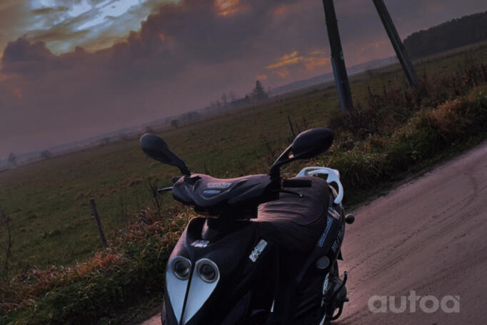 Qingqi SPORT QM250-2D