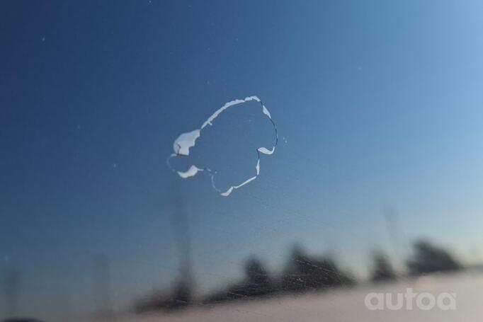 Ford Edge 1 generation [restyling] Crossover