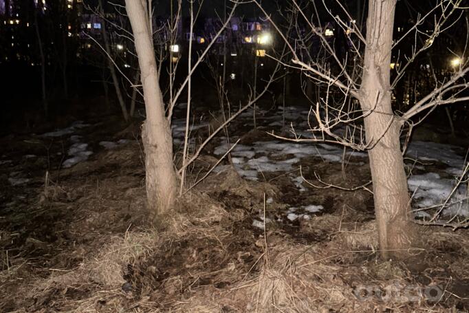 Subaru Forester 2 generation Cross Sports crossover 5-doors