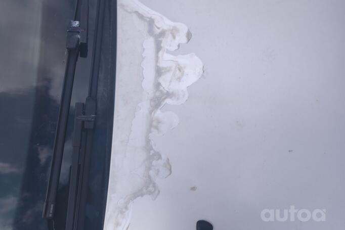 Peugeot 407 1 generation wagon