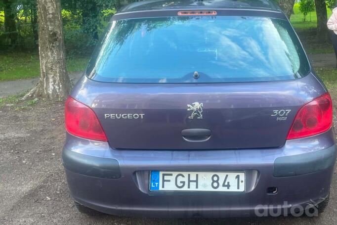 Peugeot 307 1 generation Hatchback 5-doors
