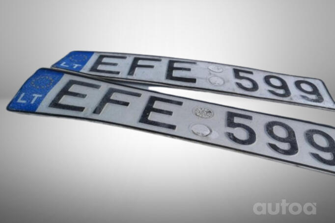 EFE599