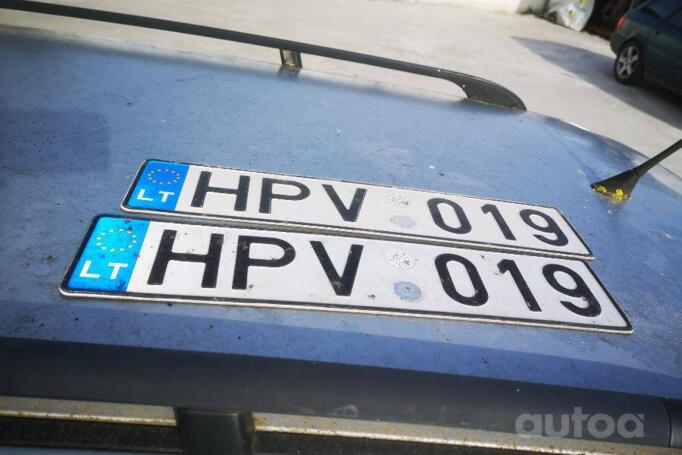 HPV019