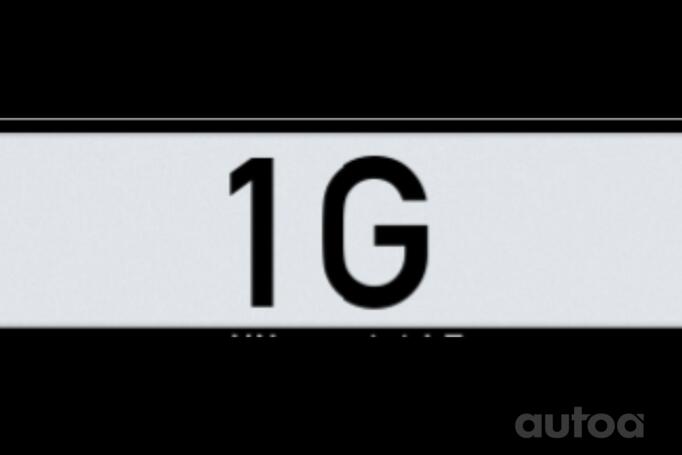 1G