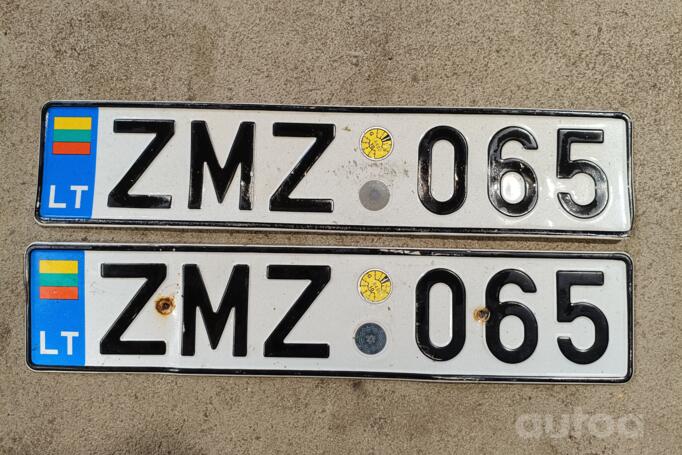 ZMZ065