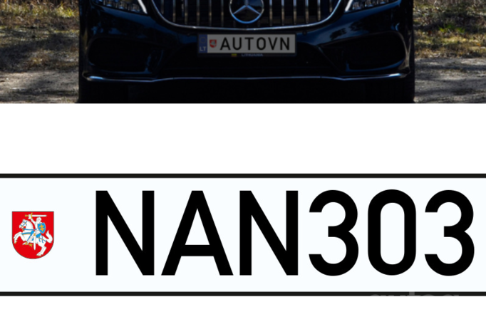 NAN303