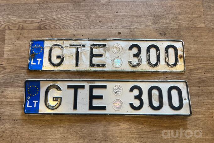 GTE300