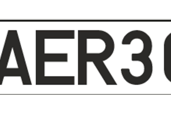 AER301