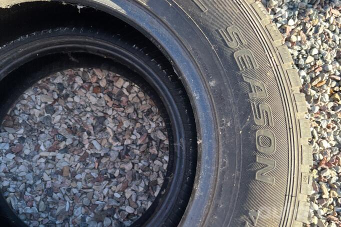 Falken