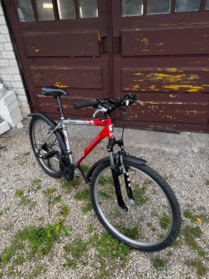 Mongoose Rockadile