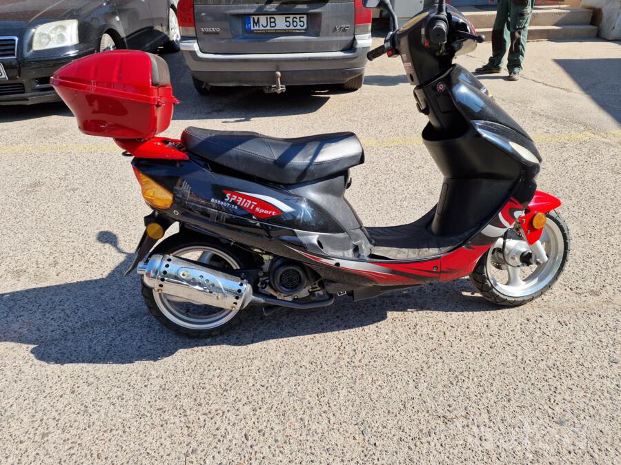 PGO T-REX 50
