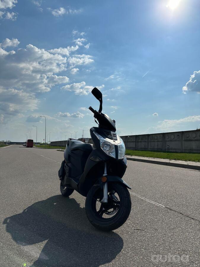 Sachs Bee