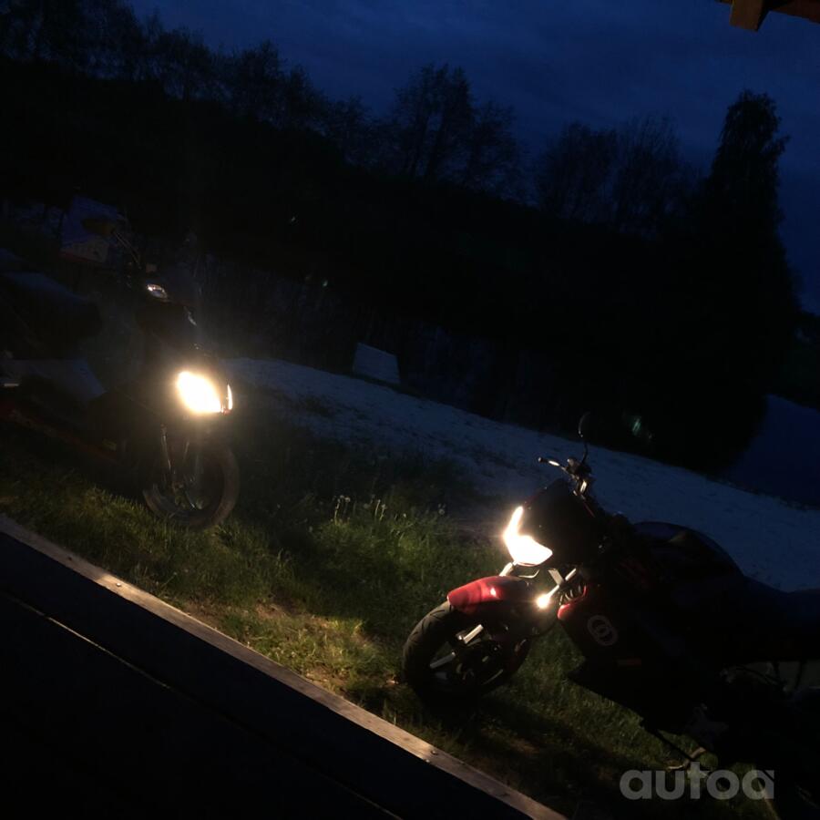 Gilera DNA