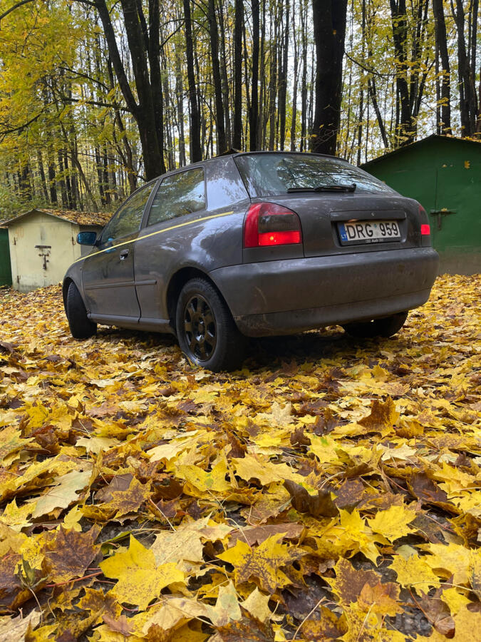 Audi A3 8L Hatchback 3-doors