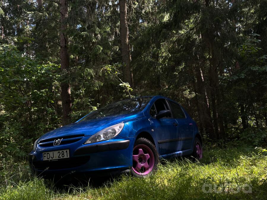 Peugeot 307 1 generation Hatchback 5-doors