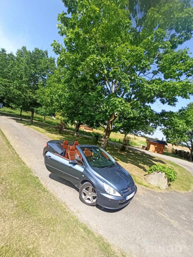 Peugeot 307 1 generation SS cabriolet