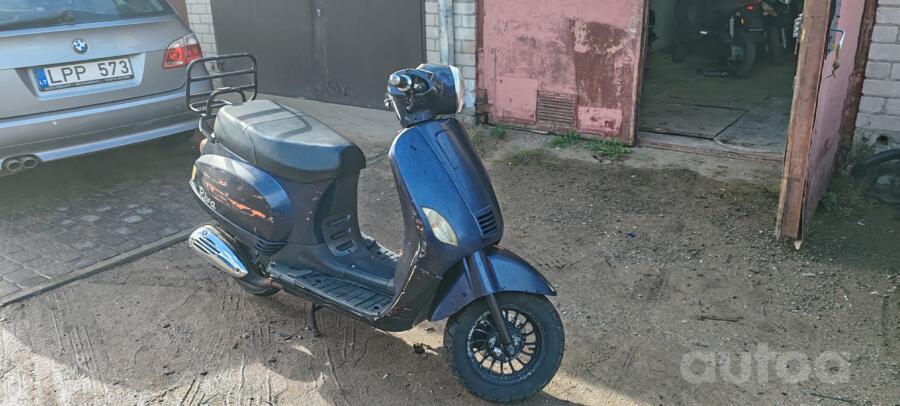 Longjia Caper 50