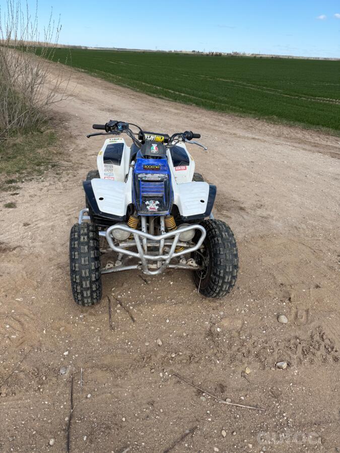 Yamaha Warrior