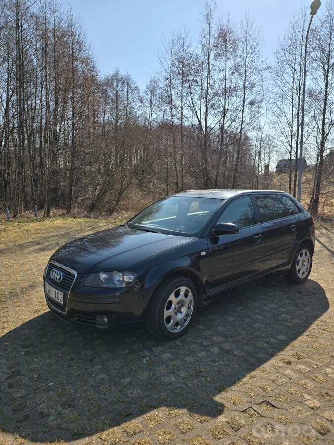 Audi A3 8P Hatchback 3-doors