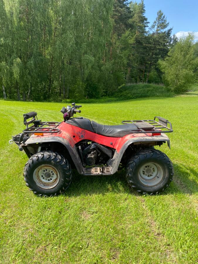 Arctic Cat 500