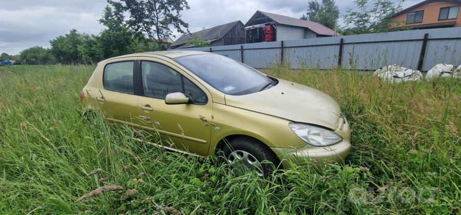 Peugeot 307 1 generation Hatchback 5-doors