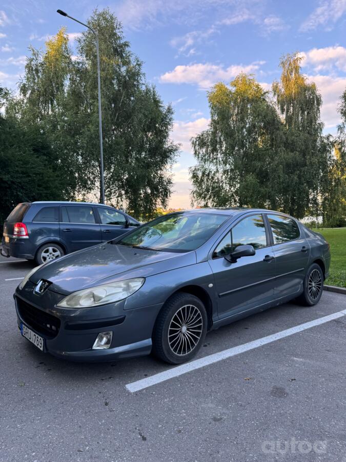 Peugeot 407 1 generation Sedan