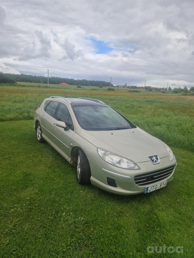 Peugeot 407 1 generation wagon