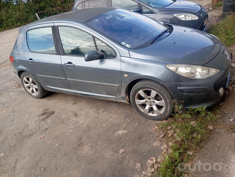 Peugeot 307 1 generation Hatchback 5-doors