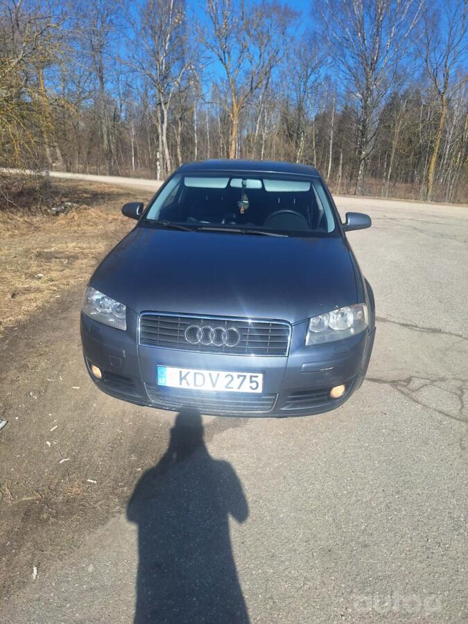 Audi A3 8P Hatchback 3-doors