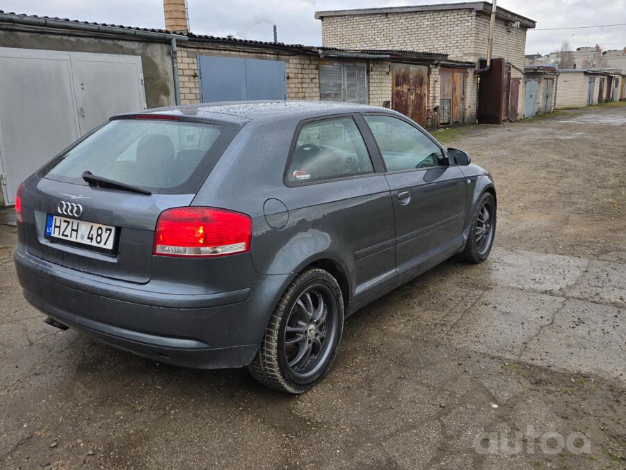 Audi A3 8P Hatchback 3-doors