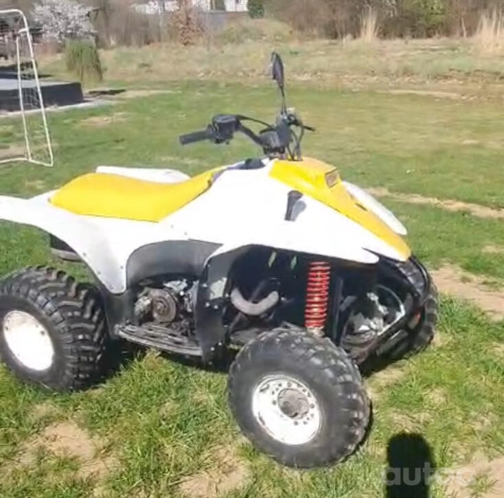 Polaris Trail Blazer