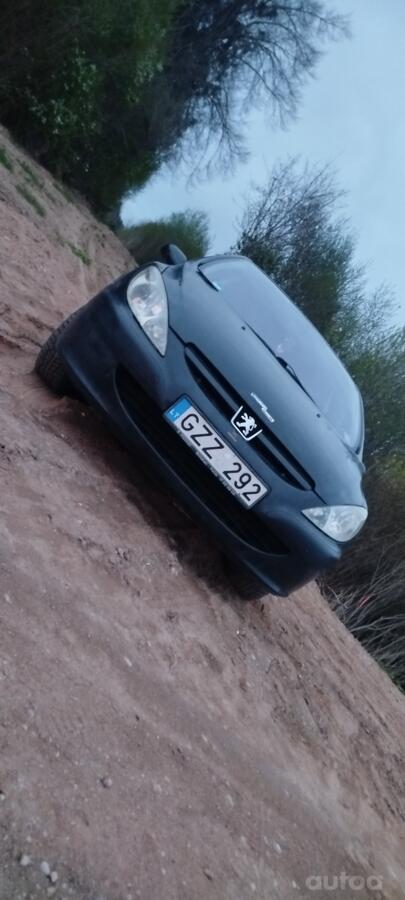 Peugeot 307 1 generation Hatchback 5-doors