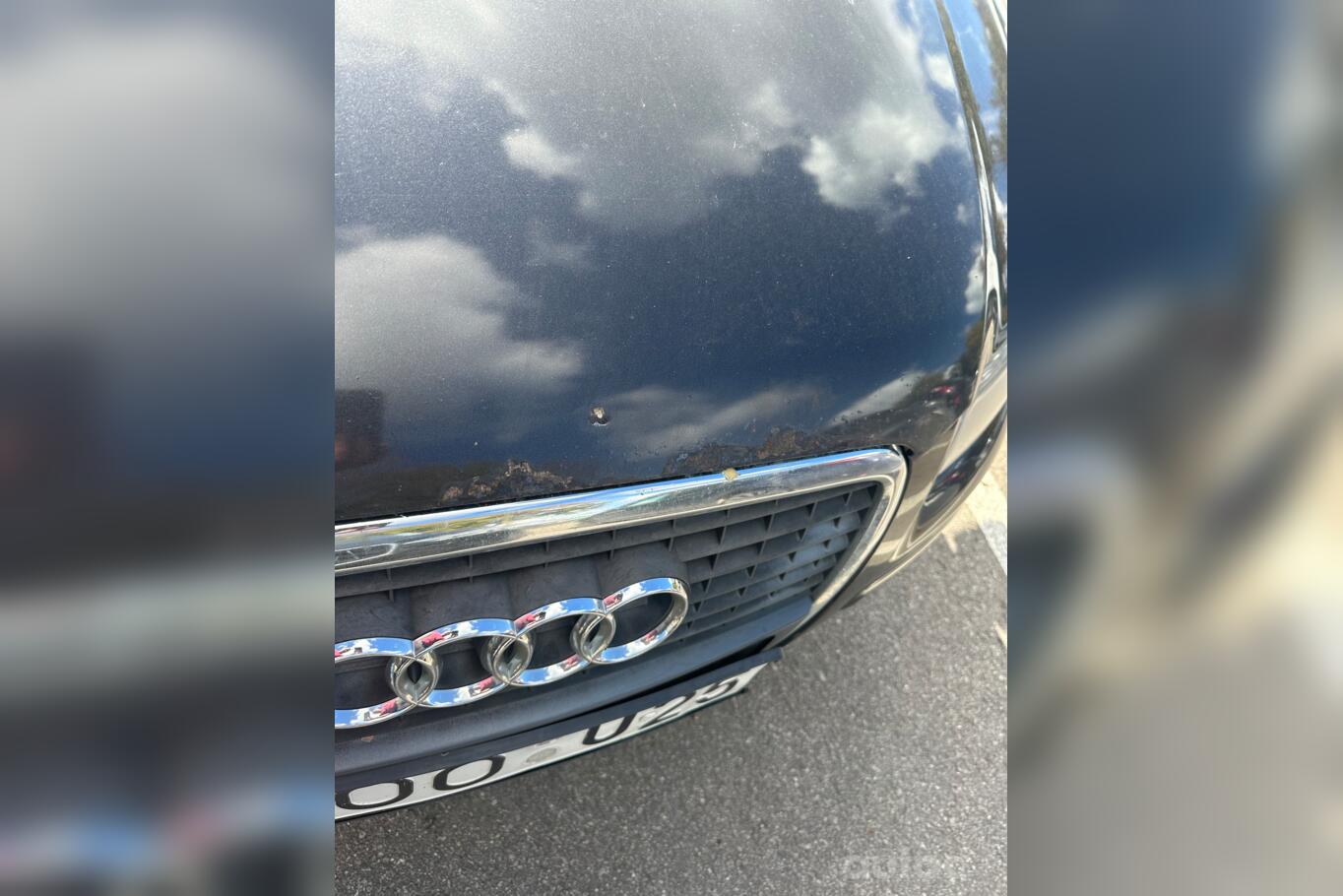 Audi A3 8P/8PA [restyling] Sportback hatchback 5-doors