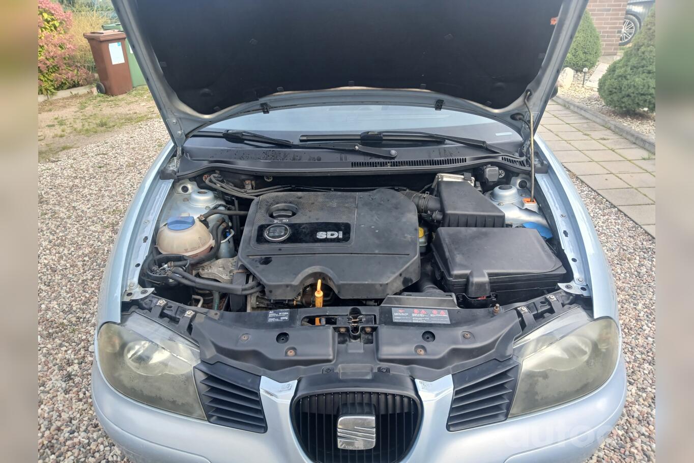 SEAT Ibiza 3 generation Hatchback 5-doors