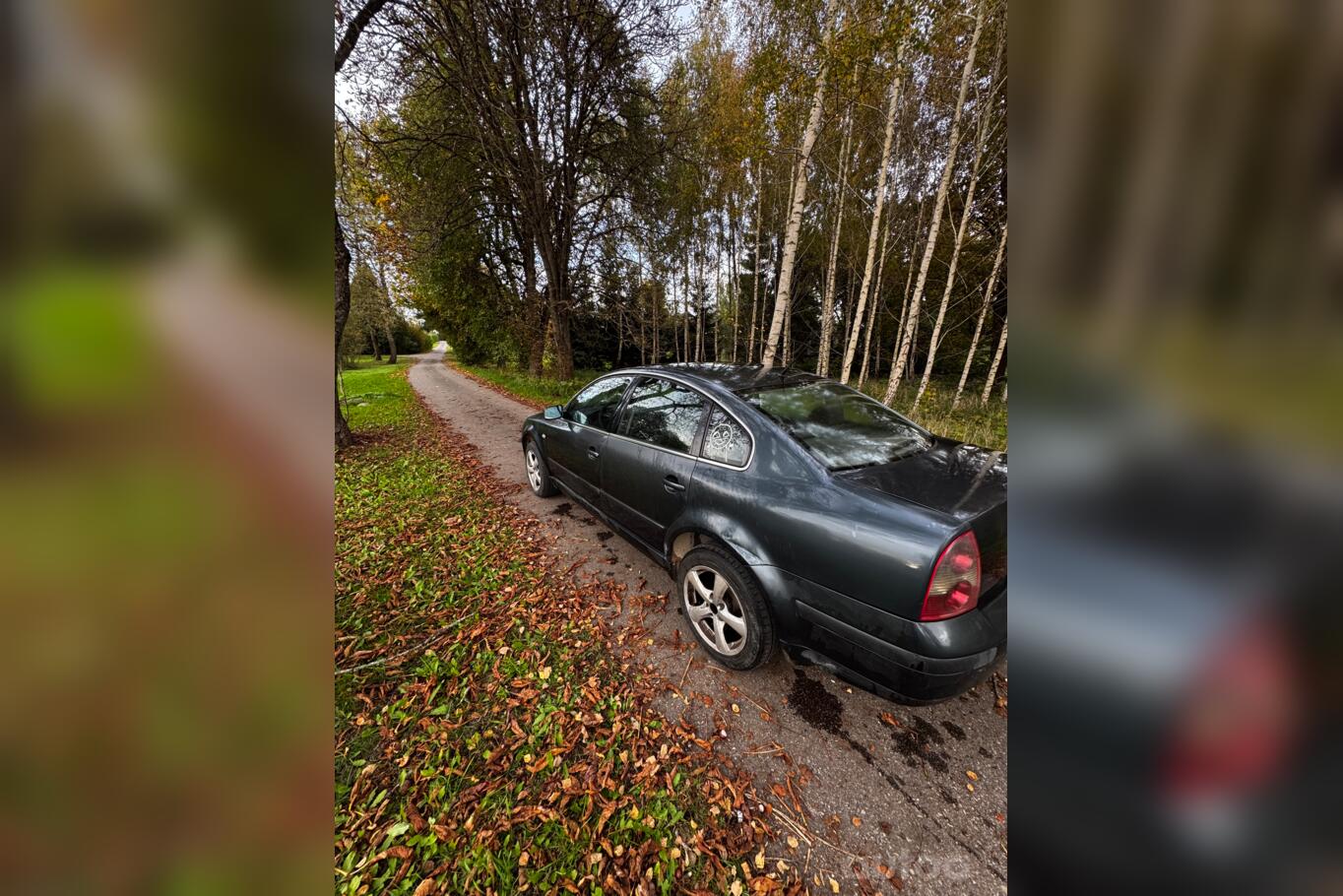 Volkswagen Passat B5.5 [restyling] Sedan