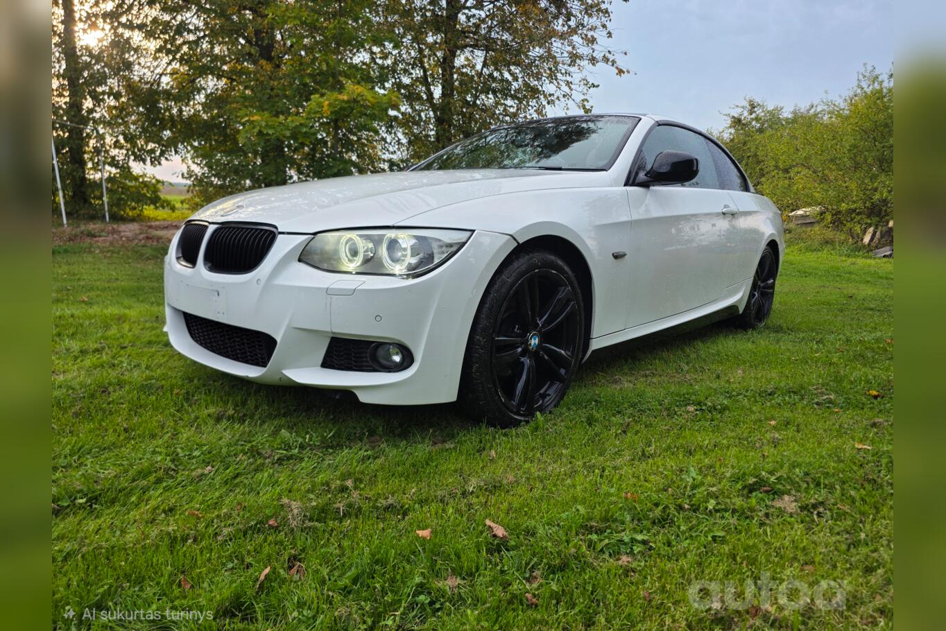 BMW 320 2013