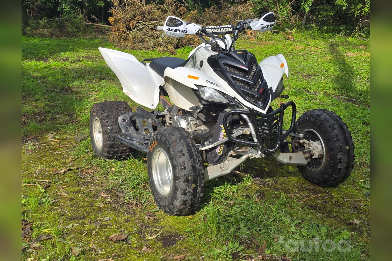 Yamaha Raptor